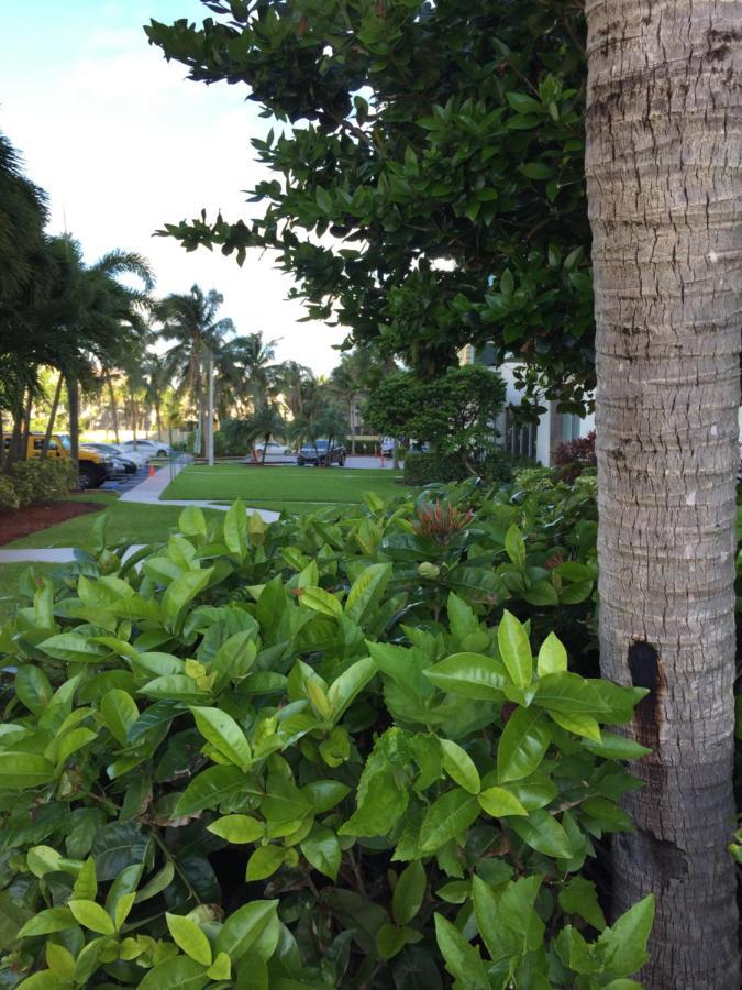 Disfruta Sunny Isles Ocean 1206 Str-02816 Daire Miami Beach Dış mekan fotoğraf